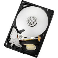 Hitachi Deskstar 7K1000C 500 GB (0F10381)